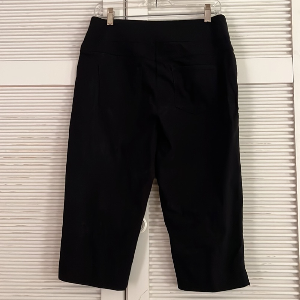 Ruby Rd. Stretch Pull On Capri Pants - image 2